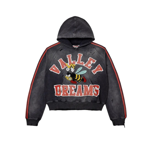 Hoodie Valley Dreams Anthem Pullover